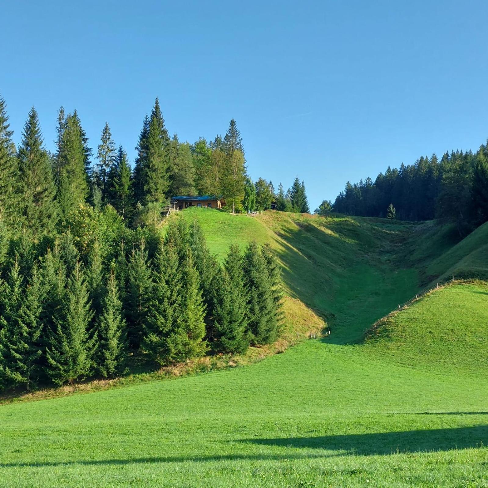 Вилла Huette Neuhaus Аннаберг-им-Ламмерталь Экстерьер фото