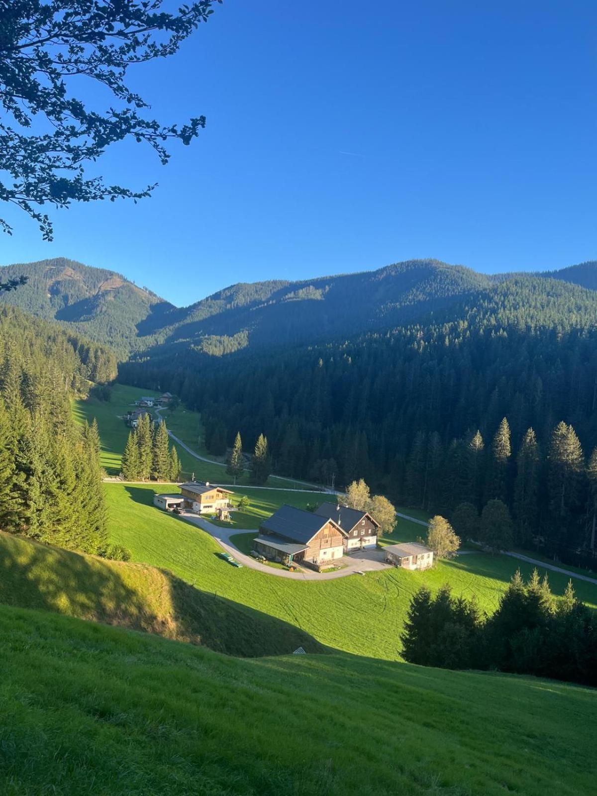 Вилла Huette Neuhaus Аннаберг-им-Ламмерталь Экстерьер фото