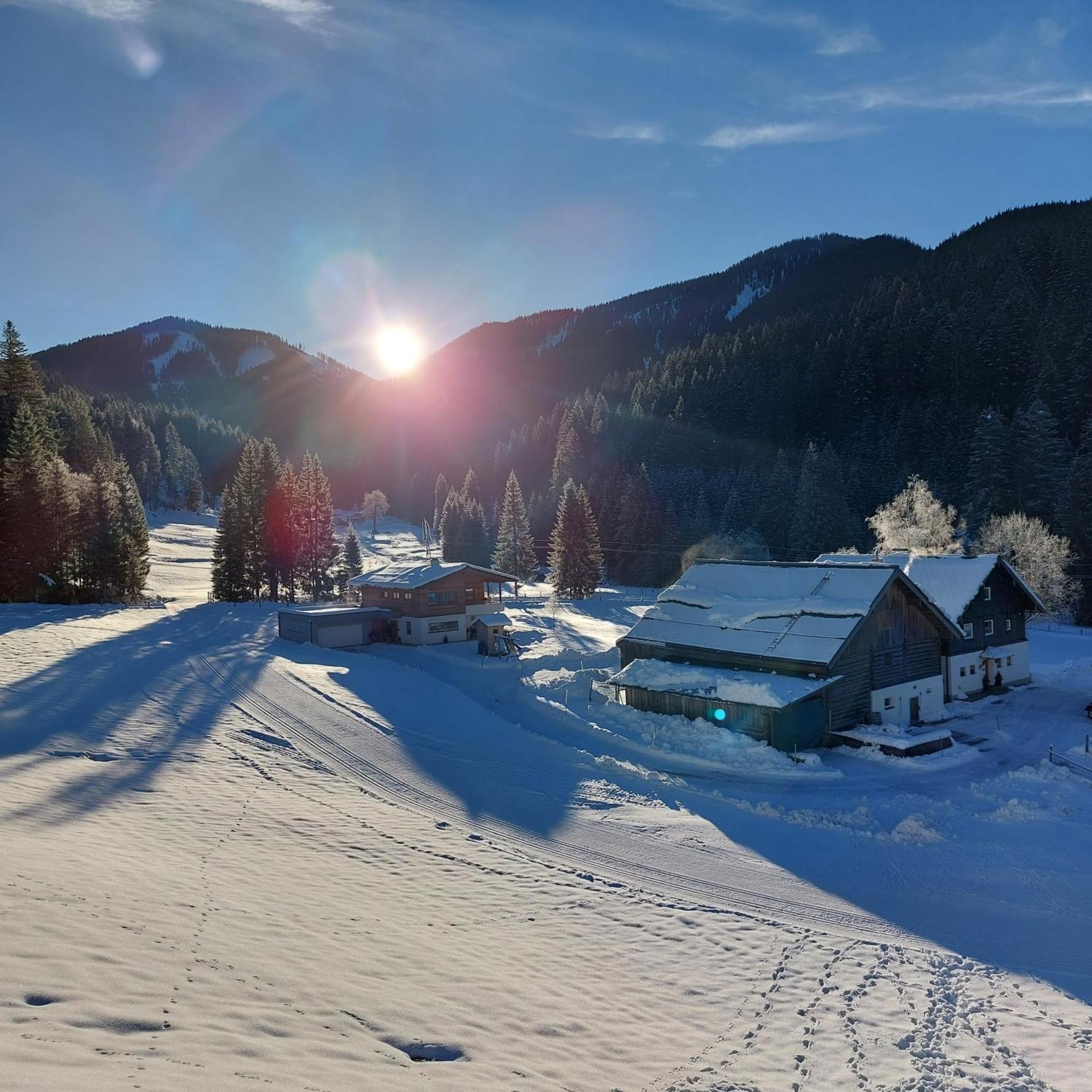 Вилла Huette Neuhaus Аннаберг-им-Ламмерталь Экстерьер фото