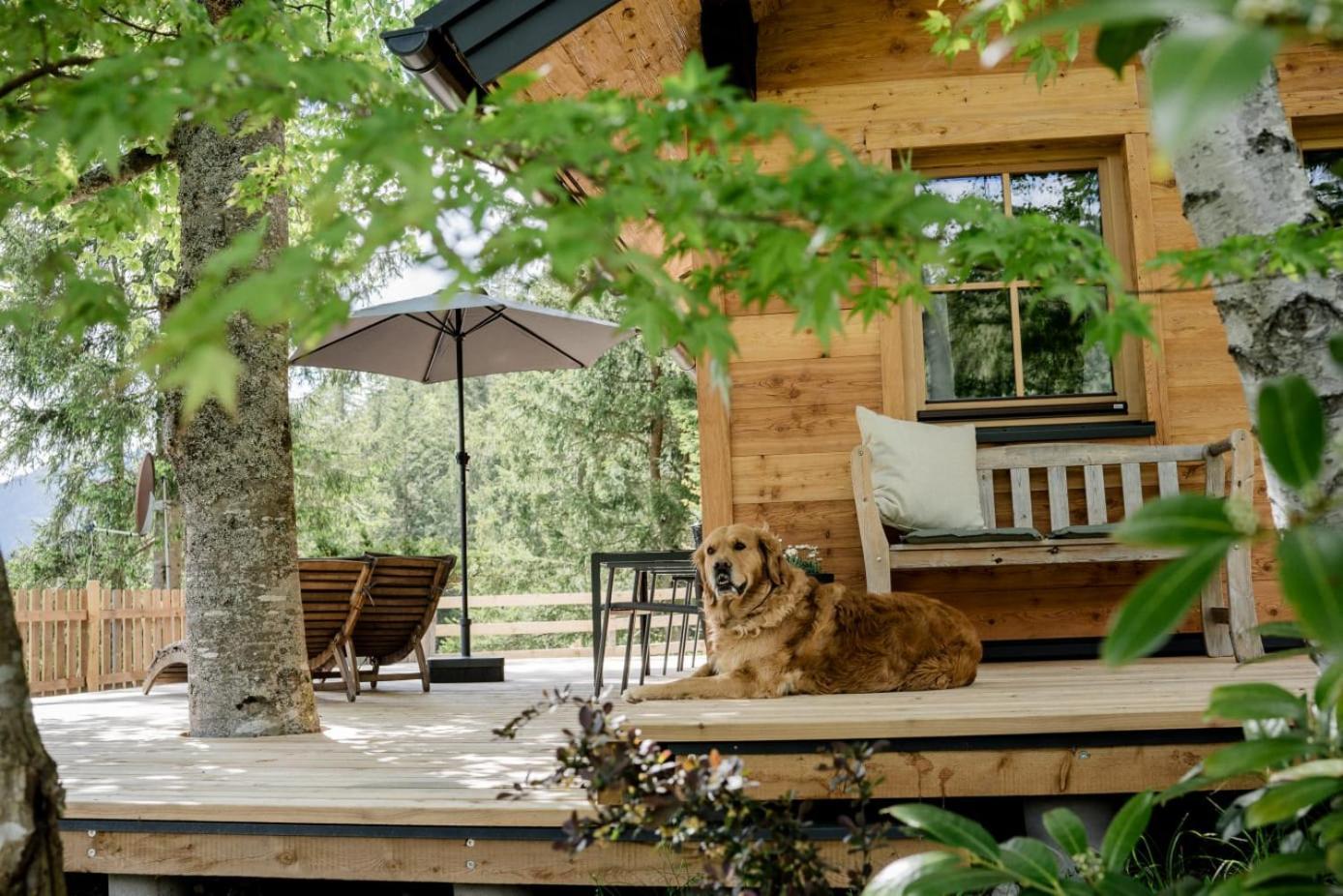 Вилла Huette Neuhaus Аннаберг-им-Ламмерталь Экстерьер фото